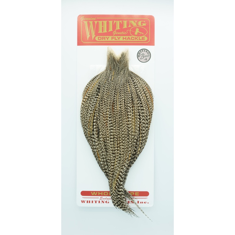 Whiting Cape Bronze