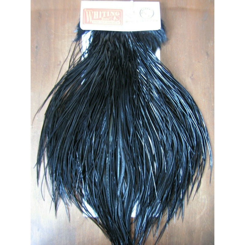 Whiting Saddle Bronze