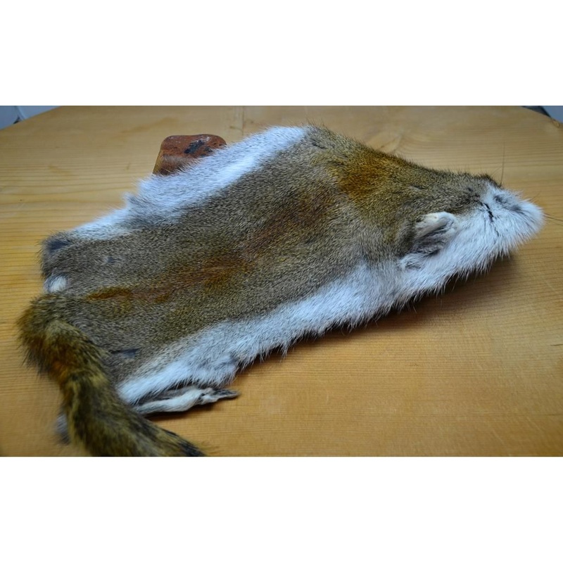 Whole Pine Squirrel Skins