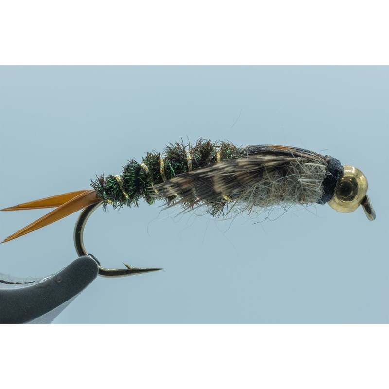 BH Twenty Incher