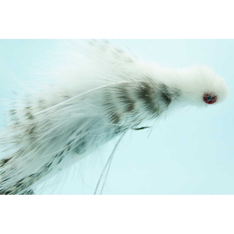 Galloup’s Silk Kitten White #2