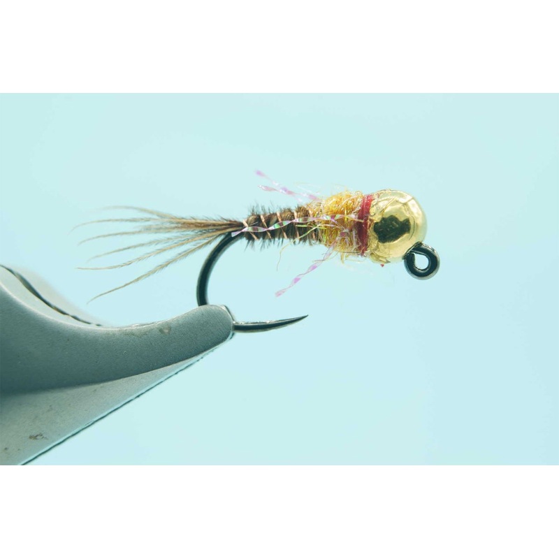 Gold BH 2.8 French Dip Shrimp #14
