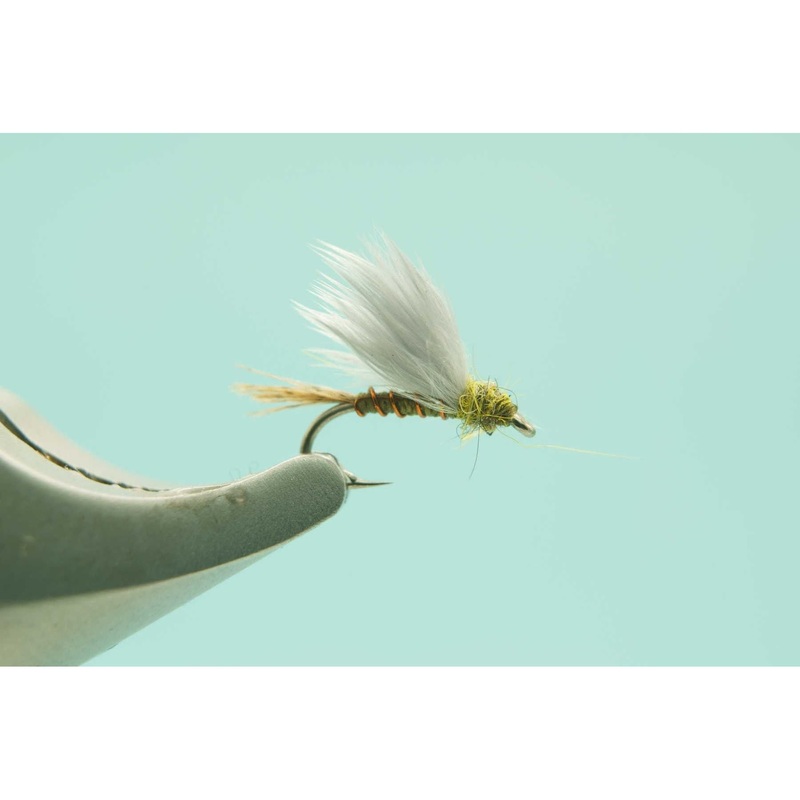RS2 Olive #18