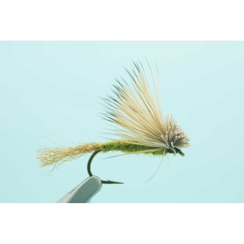 X-Caddis Olive