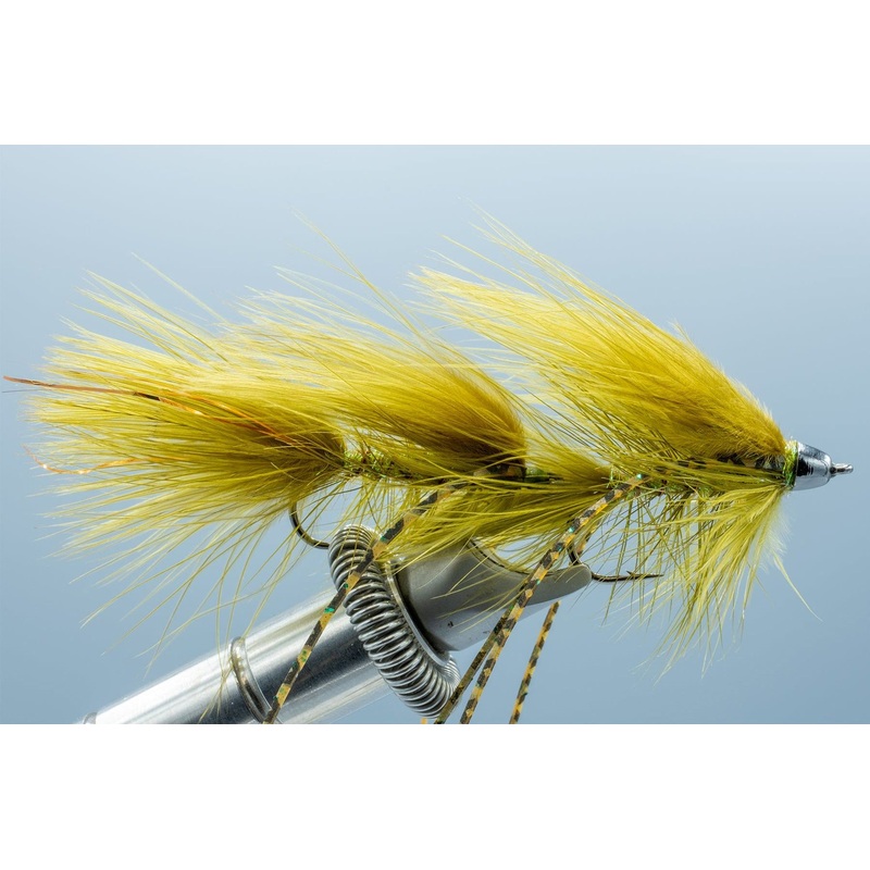 Galloup’s Mini Peanut Envy Olive #6