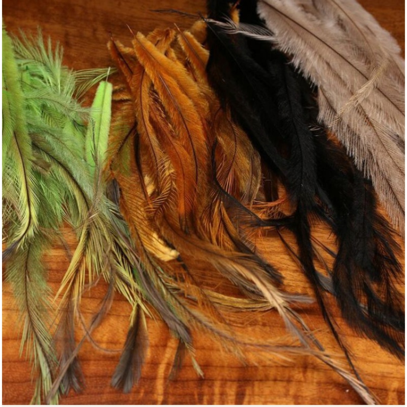 Emu Feathers