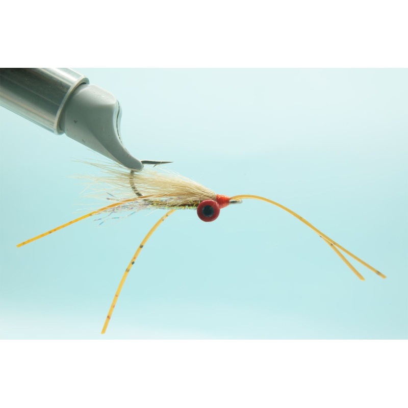 Christmas Island Special Dark Shrimp 6