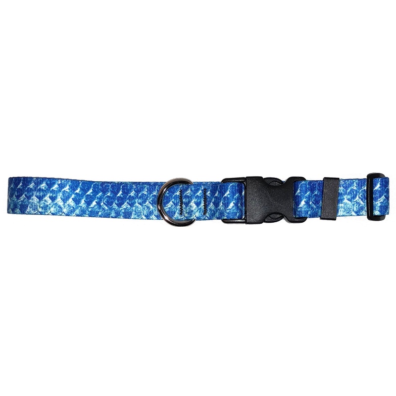 Cognito Dog Collar Tarpon