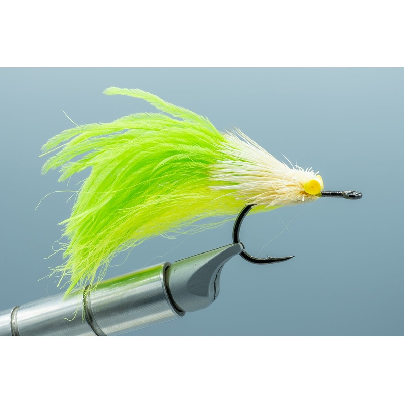 Dread Pirate Yellow-Chart #1/0