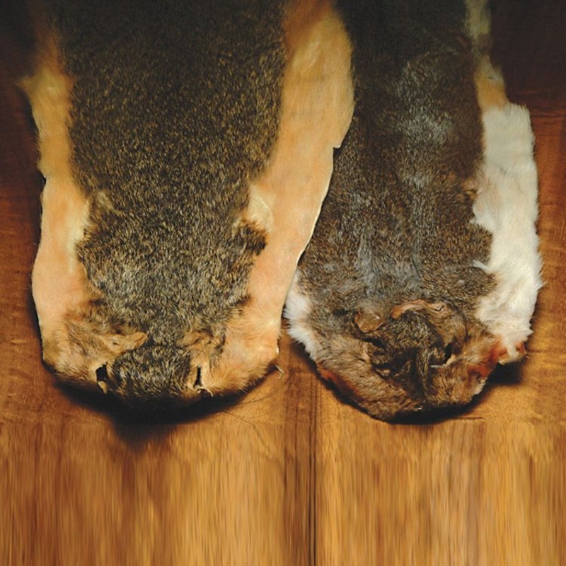 Squirrel Skin- Natural Pine
