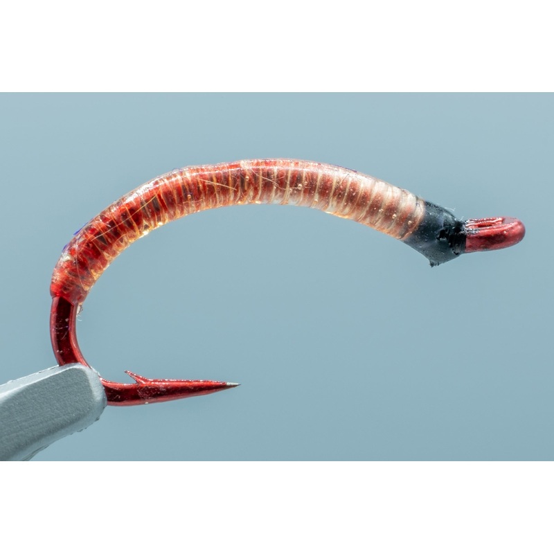 Bloodworm Red #08