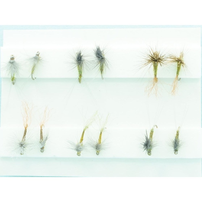 BWO Dry Assortment