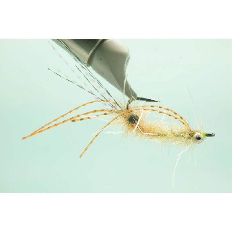 Ascension Bay Mantis Golden Sand – #6  BC