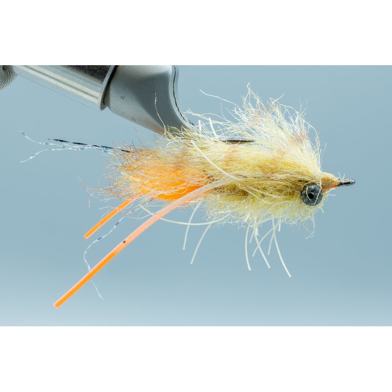 Bahamas Shrimp – Tan – #6 BC