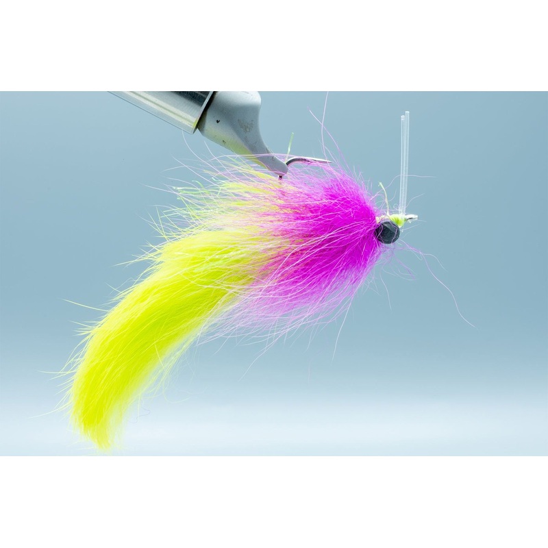 Boyles Swamp Fox – Electric Chicken – #1