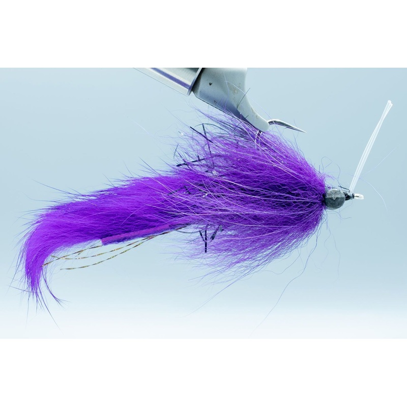 Boyles Swamp Fox – Purple – #1