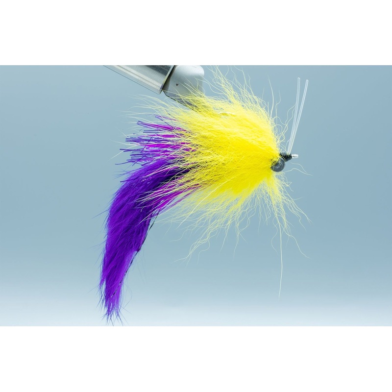 Boyles Swamp Fox – Purple/Yellow – #1