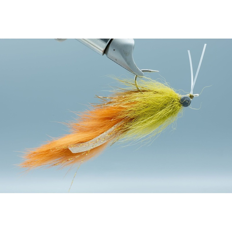 Boyles Swamp Fox – Rusty Olive – #1