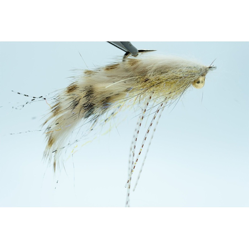 Chewy’s Morsel Chouinard – Coyote