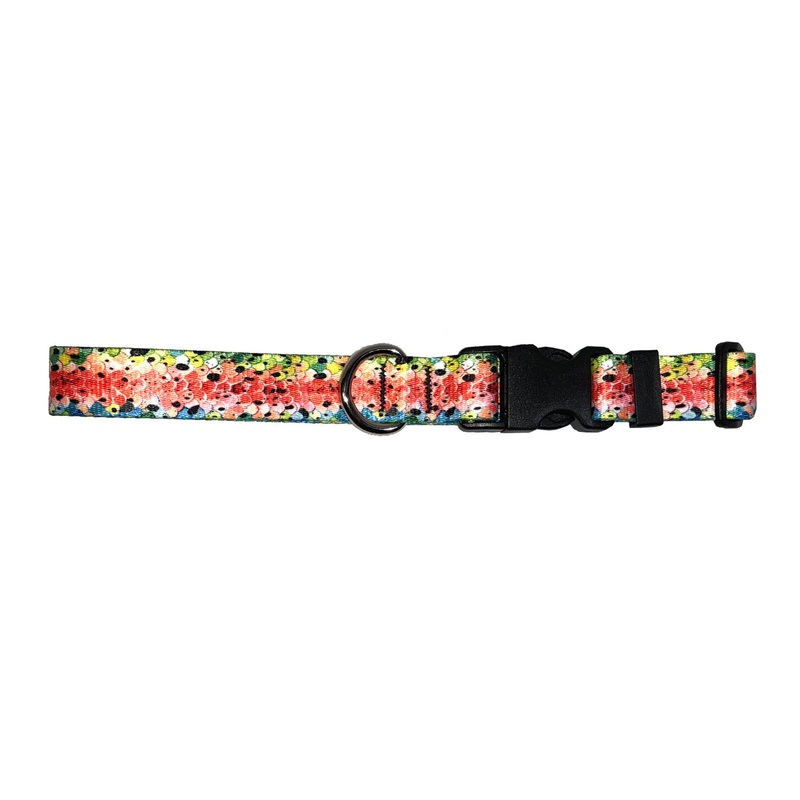 Cognito Dog Collar Rainbow #3