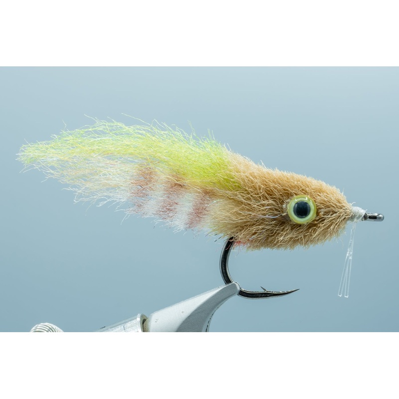 Everglades Special – #1/0