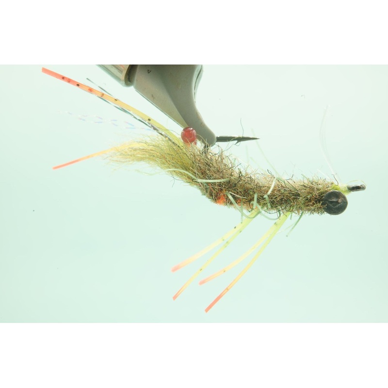 Mantis Shrimp – Olive – #6