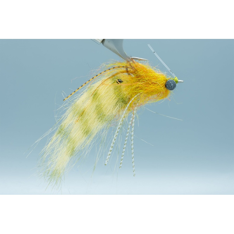 Shrimp Tease – Olive- #2