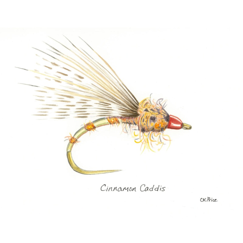 Caroline Price Art Cinnamon Caddis 10 Pack w/Envelopes