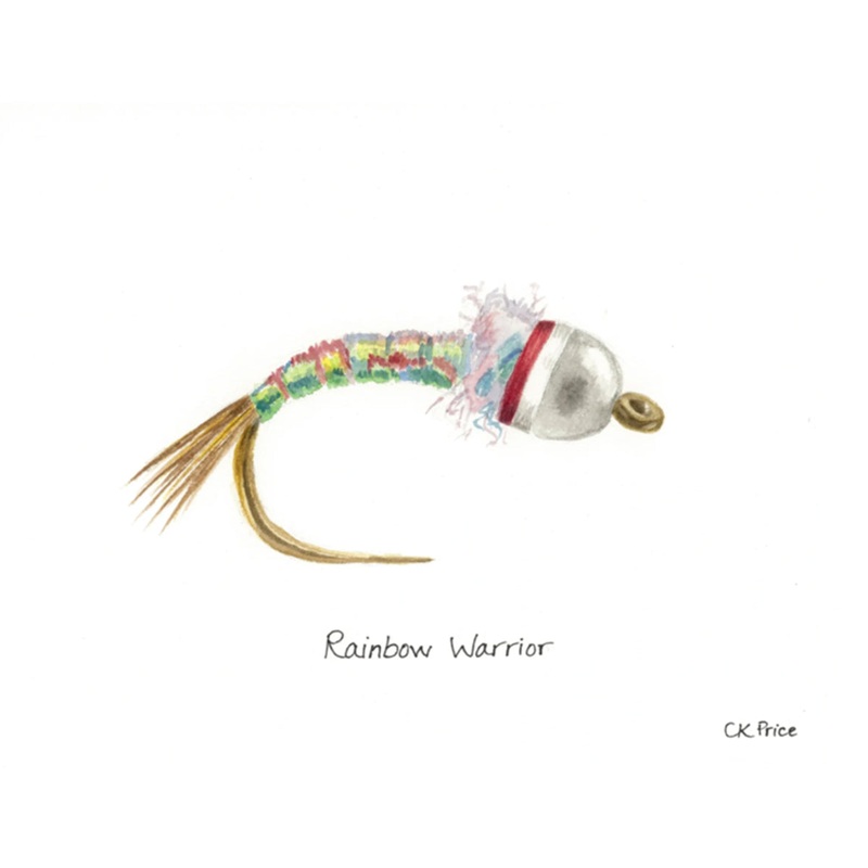 Caroline Price Art Rainbow Warrior 10 Pack w/Envelopes