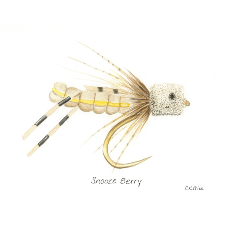 Caroline Price Art Snooze Berry 10 Pack w/Envelopes