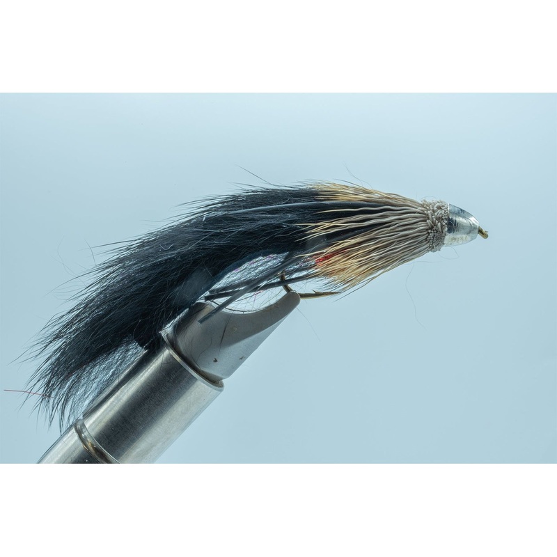 CH Ziwi Black