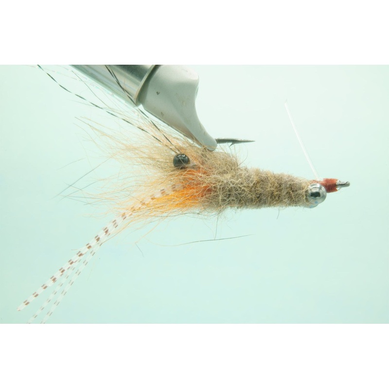 Coyote Spawn Shrimp Tan/Org  #4