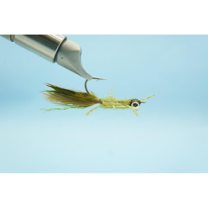 Rag Head Crab – Olive – #4