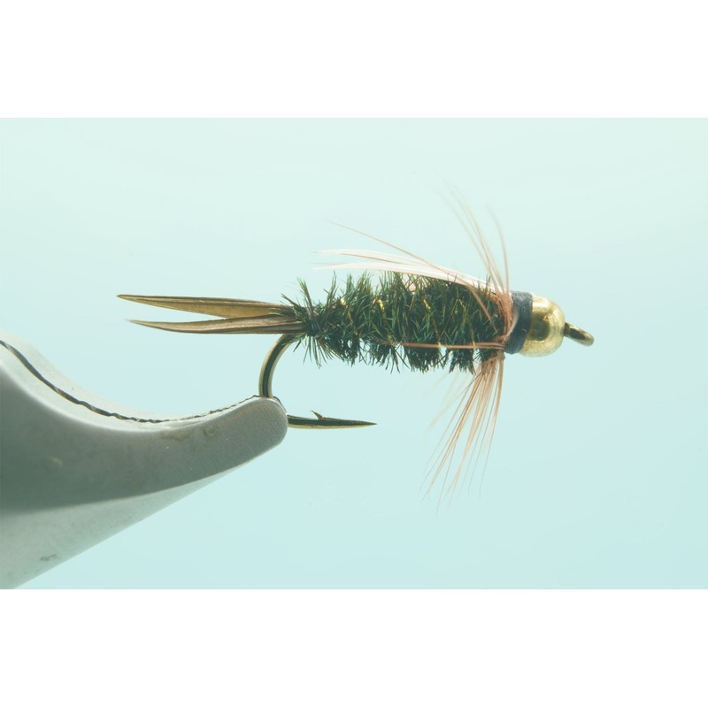 TBH Prince Nymph