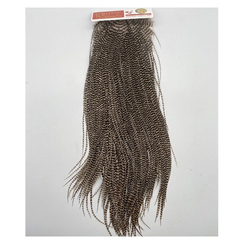 Whiting Saddle Gold