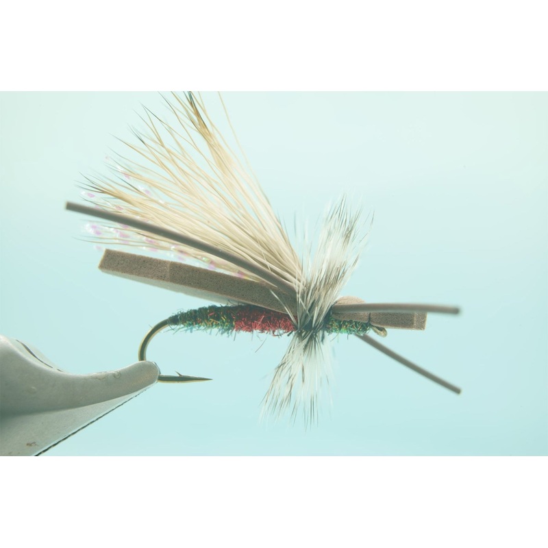 Gypsy King Variant Royal #10