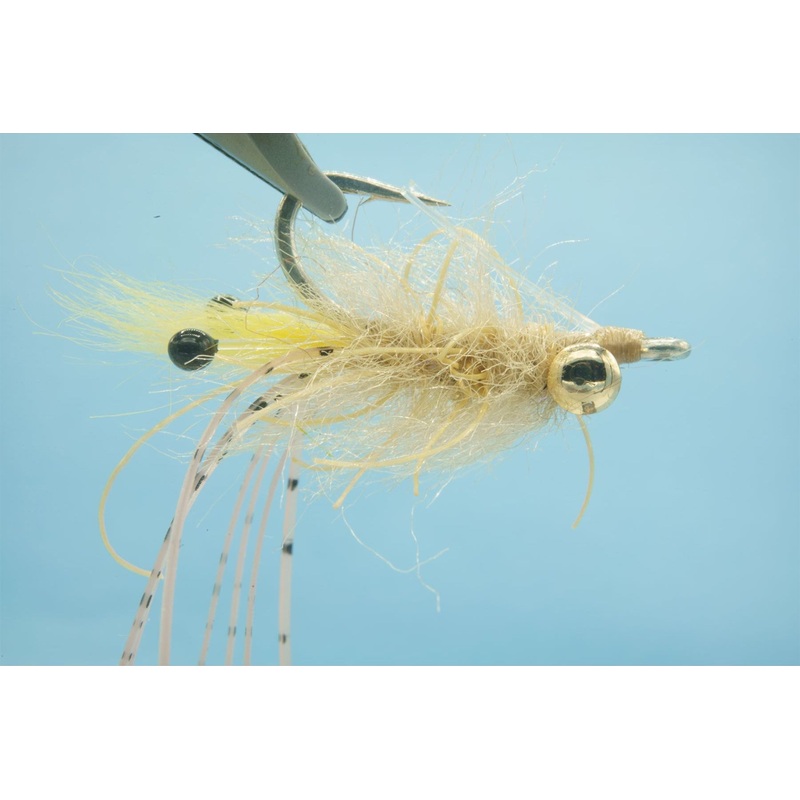 Beech’s Critter Bug Tan #2