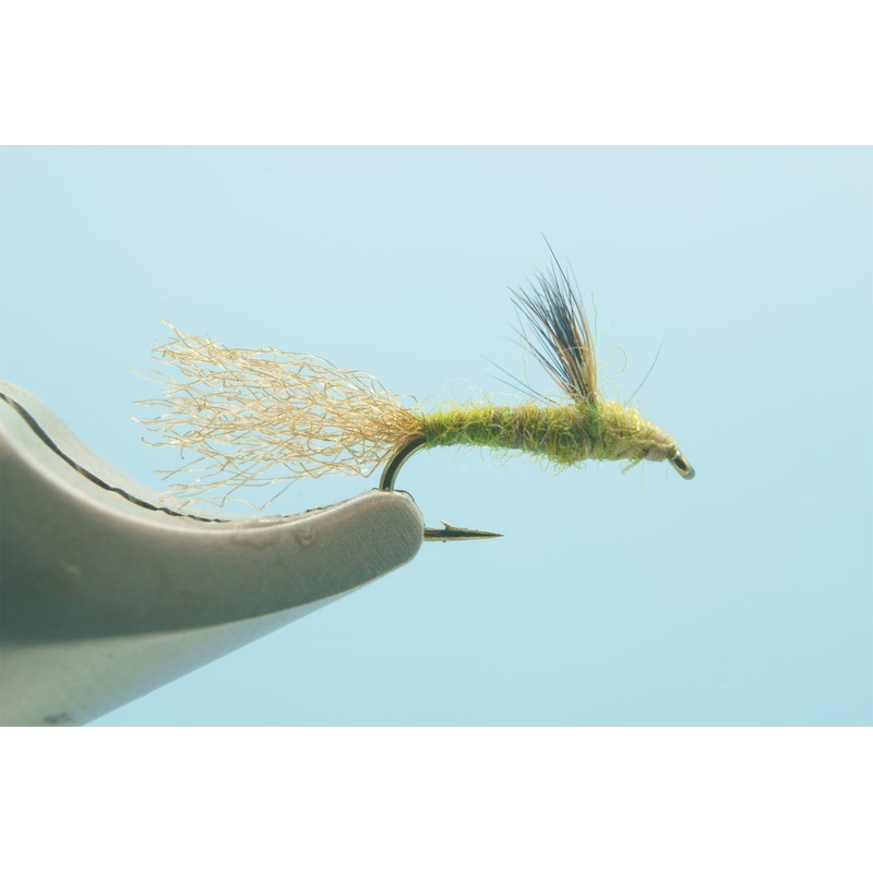 Sparkle Dun Olive – 1 Doz.