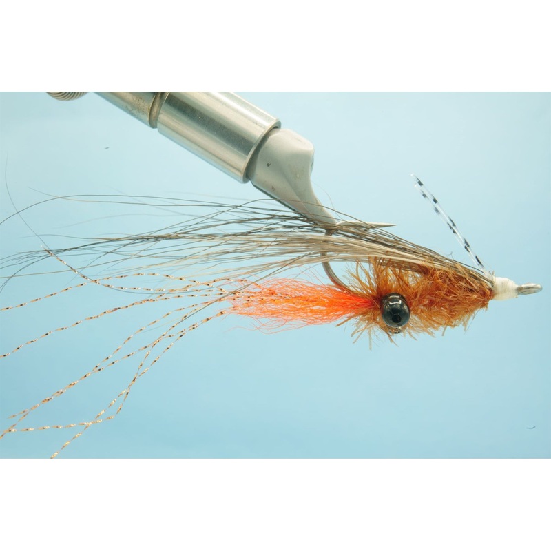 Stabili Shrimp Rootbeer #1