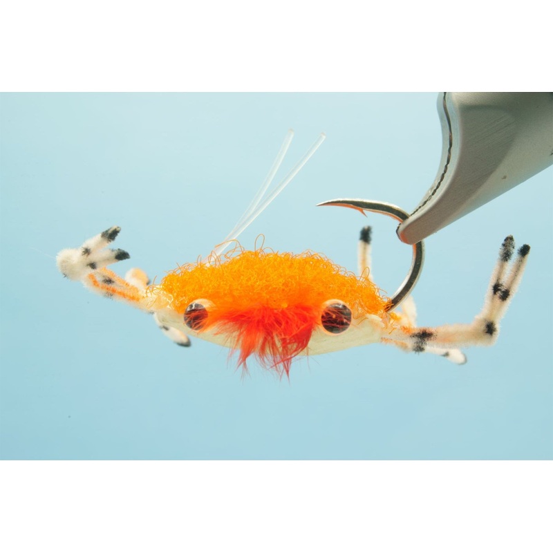 Trigger Crab #6