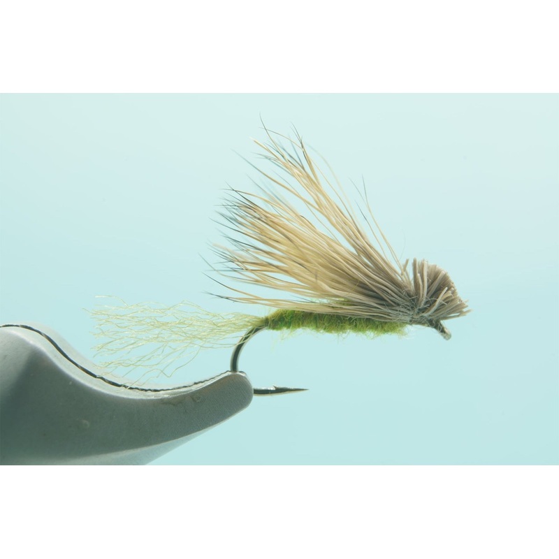 X-Caddis Olive – 1 Doz.