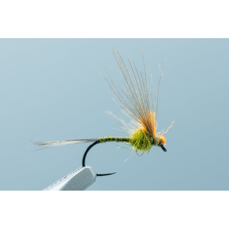 Antonio’s Adult BWO BL #17