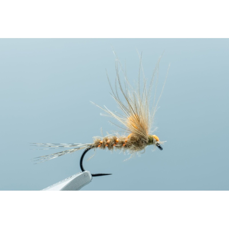 Antonio’s Adult March Brown BL #12