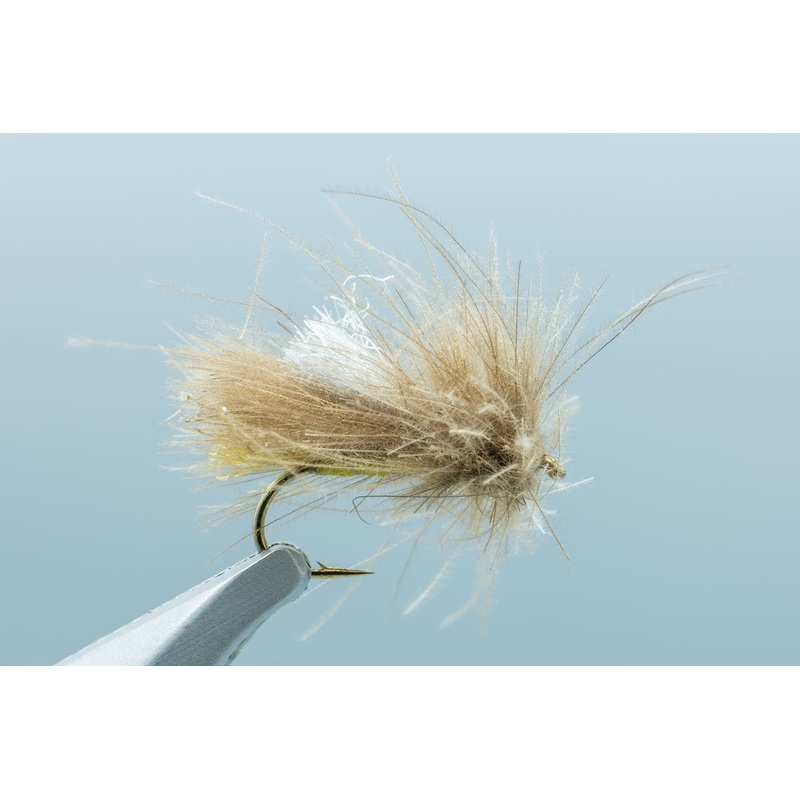 Egan’s Corn-Fed Caddis CDC Olive #16