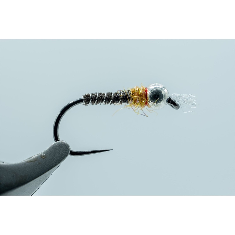 Egan’s Frenchie Chironomid