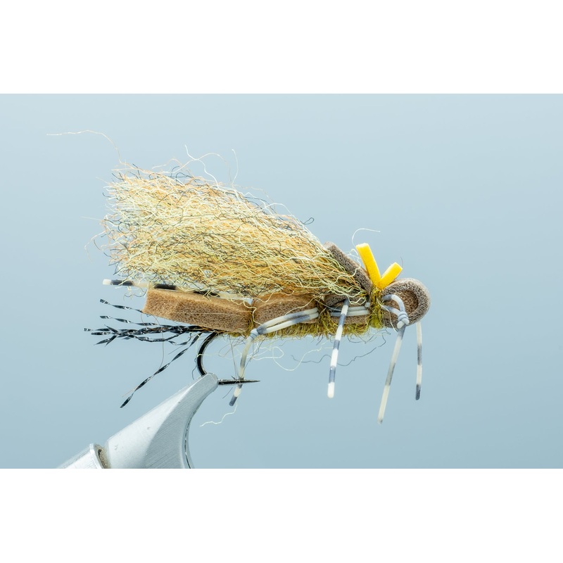 Fool’s Gold Golden #8