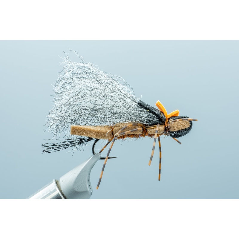 Fool’s Gold Salmon #6