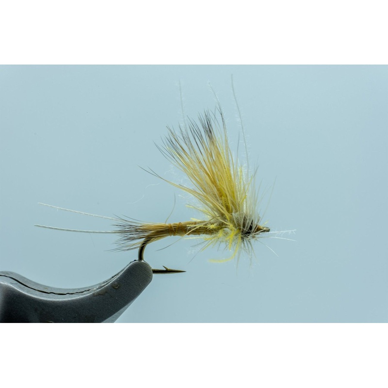 Johnson’s Mimic May PMD #16