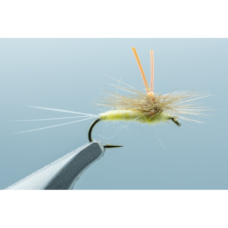 Martian Mayfly Braun PMD #16
