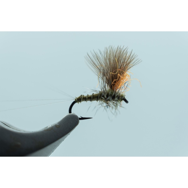 Pederson’s 401K Baetis #18